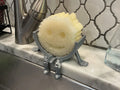 Scrub Daddy Sink Holder